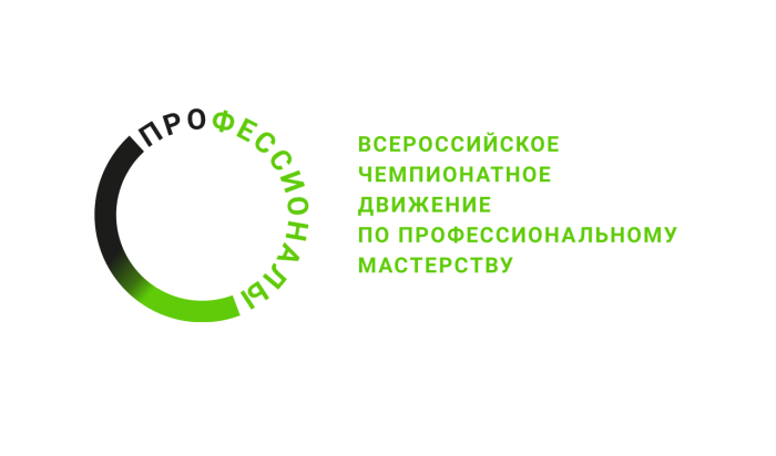 Профессионалы -2024