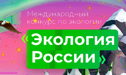 «Бронза» в Международном конкурсе по экологии