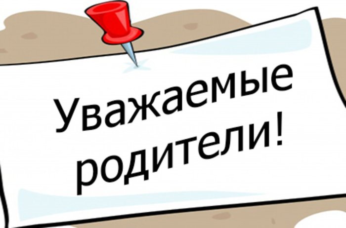 Рекомендации для родителей по профилактике вовлечения подростков в деструктивные субкультуры и несанкционированные массовые мероприятия