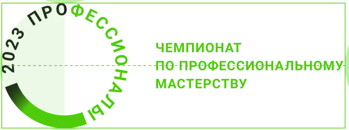 «Чемпионат «Профессионалы» стартовал»