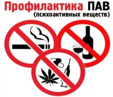 Профилактика употребления ПАВ-2025
