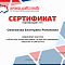 Участие в онлайн-викторине 2025